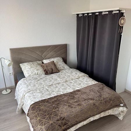 Cozy Studio Near Tram - Center Strasbourg Eksteriør bilde